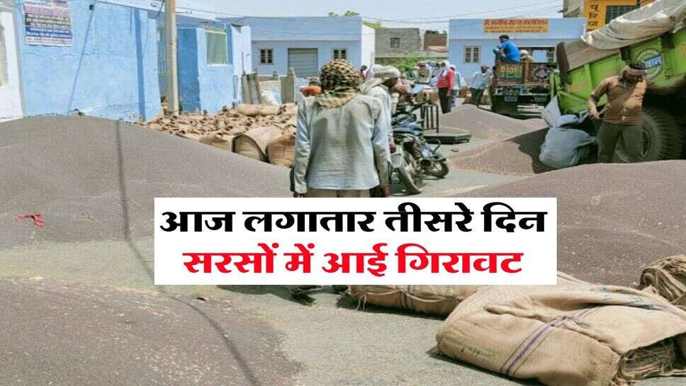 Sarso Rate Today : आज लगातार तीसरे दिन सरसों में आई गिरावट