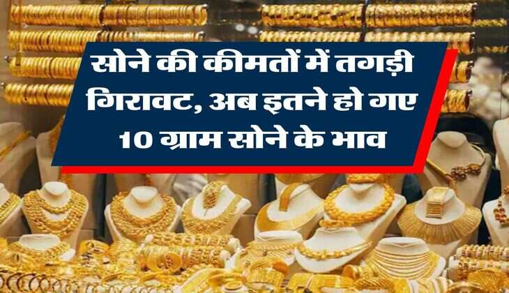 Gold Rate : सोने की कीमतों में तगड़ी गिरावट, अब इतने हो गए 10 ग्राम सोने के भाव