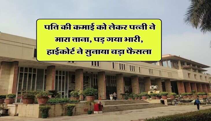 Delhi High Court : पति की कमाई को लेकर पत्नी ने मारा ताना, पड़ गया भारी, हाईकोर्ट ने सुनाया बड़ा फैसला