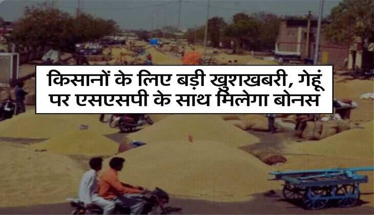 Agriculture News: किसानों के लिए बड़ी खुशखबरी, गेहूं पर एसएसपी के साथ मिलेगा बोनस