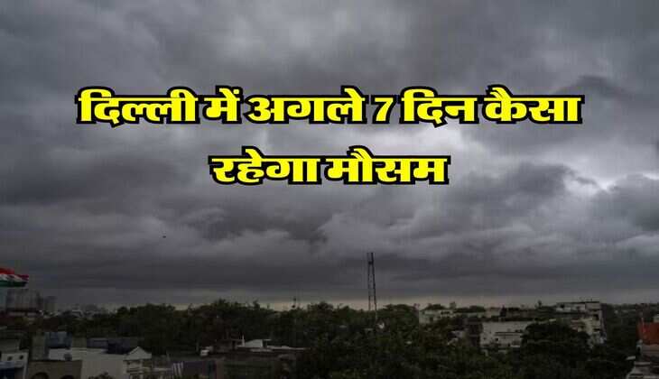 Delhi Weather Update : दिल्ली में अगले 7 दिन कैसा रहेगा मौसम, IMD ने दिया लेटेस्ट अपडेट&nbsp;