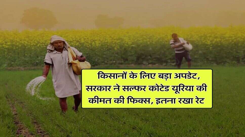 Agriculture : किसानों के लिए बड़ा अपडेट, सरकार ने सल्फर कोटेड यूरिया की कीमत की फिक्स, इतना रखा रेट