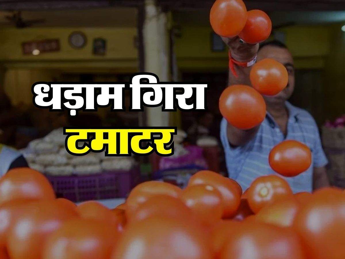 Tomato Price Today: सातवें आसमान से धड़ाम हुआ टमाटर, चेक करें नए रेट