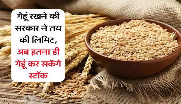 Delhi NCR से UP की राजधानी लखनऊ की दूरी होगी कम, ग्रीनफील्ड एक्सप्रेसवे का रास्ता साफ