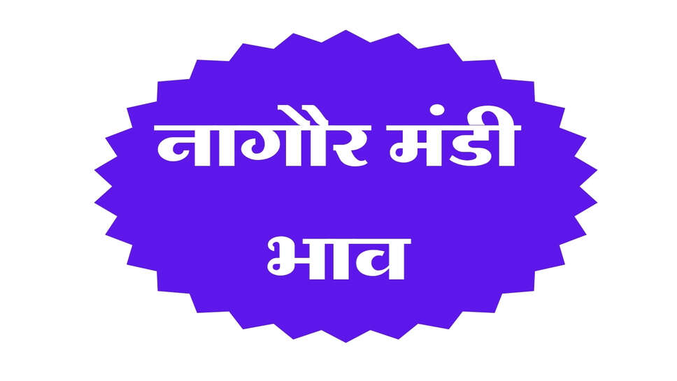 नागौर मंडी भाव 11 अक्टूबर 2026: काला तिल, ईसबगोल और सौंफ में तेजी, ग्वार-सुआ में मंदी