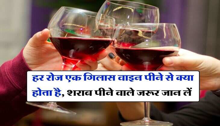  Wine : हर रोज एक गिलास वाइन पीने से क्या होता है, शराब पीने वाले जरूर जान लें