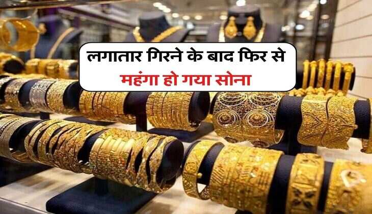 Gold Rate Today : लगातार गिरने के बाद फिर से महंगा हो गया सोना, चेक करें देश के 12 शहरों में सोने का भाव