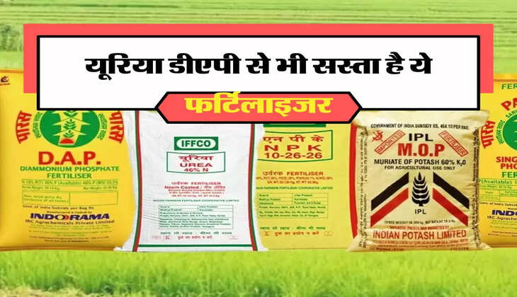 Fertilizer News: यूरिया डीएपी से भी सस्ता है ये फर्टिलाइजर, पैदावार बढ़ाने में वरदान से नहीं कम