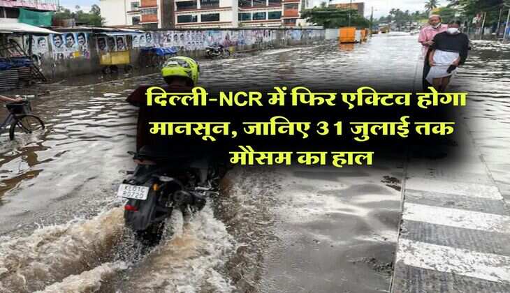 IMD Weather Forecast : दिल्ली-NCR में फिर एक्टिव होगा मानसून, जानिए 31 जुलाई तक मौसम का हाल