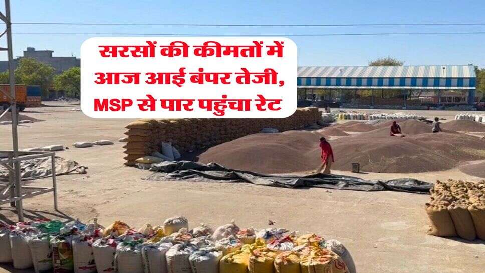 Sarso Mandi Bhav : सरसों की कीमतों में आज आई बंपर तेजी, MSP से पार पहुंचा रेट
