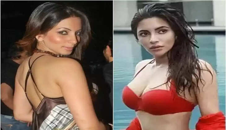 Shama Sikander: पति संग थाईलैंड में रोमांस करती नजर आई शमा सिकंदर, बिकिनी फोटो सोशल मीडिया पर वायरल