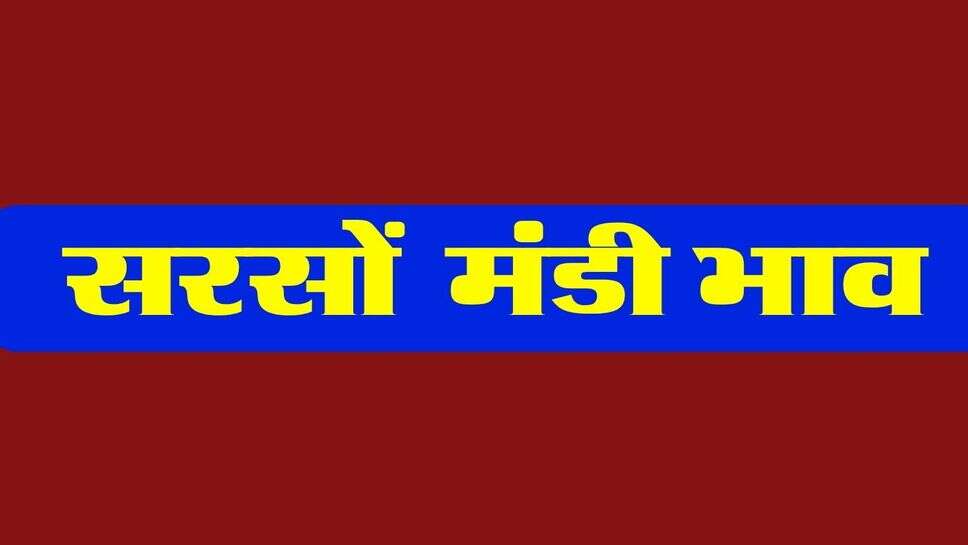 Sarso Bhav October 2026 : सरसों की कीमत फिर 9400 पर पहुंची, जानें अलग-अलग मंडियों में क्या है भाव