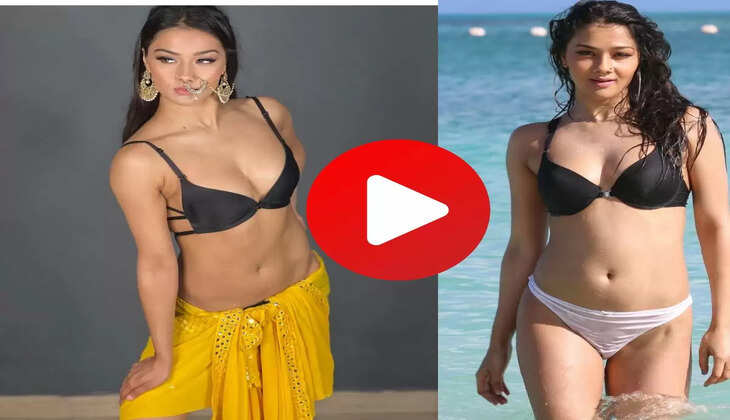 Namrata Malla Dance : शीला की जवानी पर नम्रता मल्ला ने जमकर लगाएं ठुमके, वीडियो हो रहा वायरल