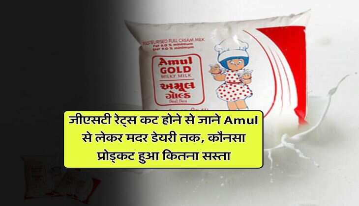 जीएसटी रेट्स कट होने से जाने Amul से लेकर मदर डेयरी तक, कौनसा प्रोड्कट हुआ कितना सस्ता