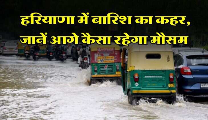 Haryana Me Barish : हरियाणा में बारिश का कहर, जानें आगे कैसा रहेगा मौसम