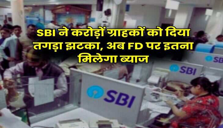 SBI ने करोड़ों ग्राहकों को दिया तगड़ा झटका, अब FD पर इतना मिलेगा ब्याज