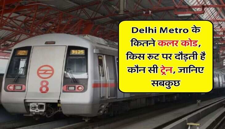 Delhi Metro के कितने कलर कोड, किस रूट पर दौड़ती है कौन सी ट्रेन, जानिए सबकुछ