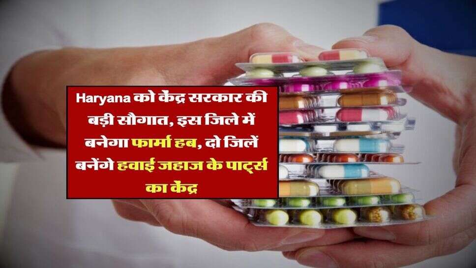 Haryana को केंद्र सरकार की बड़ी सौगात, इस जिले में बनेगा फार्मा हब, दो जिलें बनेंगे हवाई जहाज के पार्ट्स का केंद्र
