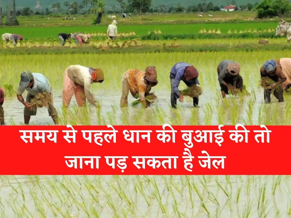 haryana agriculturew