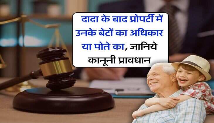 Property Rights Act : दादा के बाद प्रोपर्टी में उनके बेटों का अधिकार या पोते का, जानिये कानूनी प्रावधान
