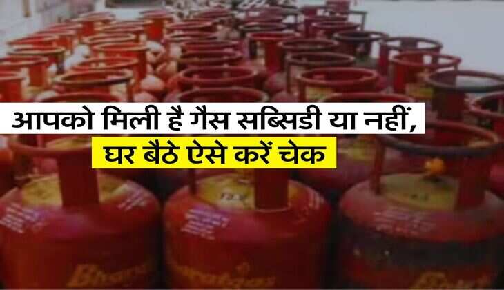 LPG GAS SUBSIDY: आपको मिली है गैस सब्सिडी या नहीं, घर बैठे ऐसे करें चेक