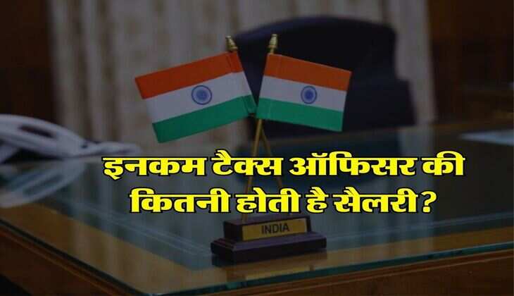 Income Tax Salary: इनकम टैक्स ऑफिसर की कितनी होती है सैलरी, जानिए कौन-कौन सी मिलती है पावर