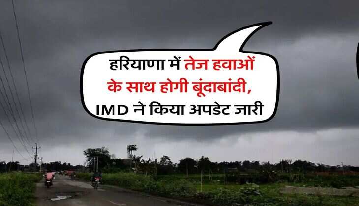Haryana Weather: हरियाणा में तेज हवाओं के साथ होगी बूंदाबांदी, IMD ने किया अपडेट जारी
