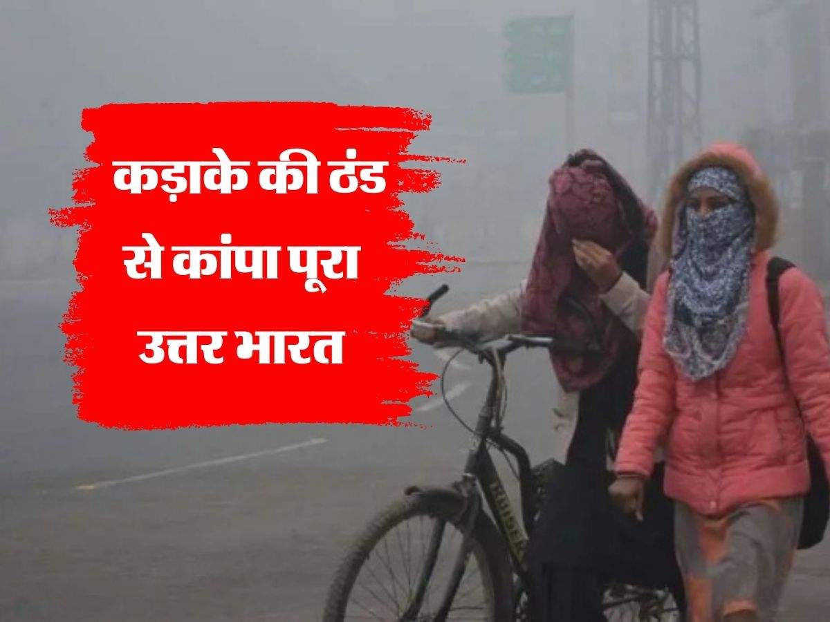 Weather Update : कड़ाके की ठंड से कांपा पूरा उत्तर भारत, कोहरे को लेकर IMD ने जारी किया रेड अलर्ट