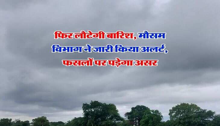 UP Weather Alert : फिर लौटेगी बारिश, मौसम विभाग ने जारी किया अलर्ट, फसलों पर पड़ेगा असर