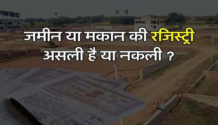Property Documents : जमीन या मकान की रजिस्ट्री असली है या नकली, खरीदने से पहले ऐसे लगाएं पता
