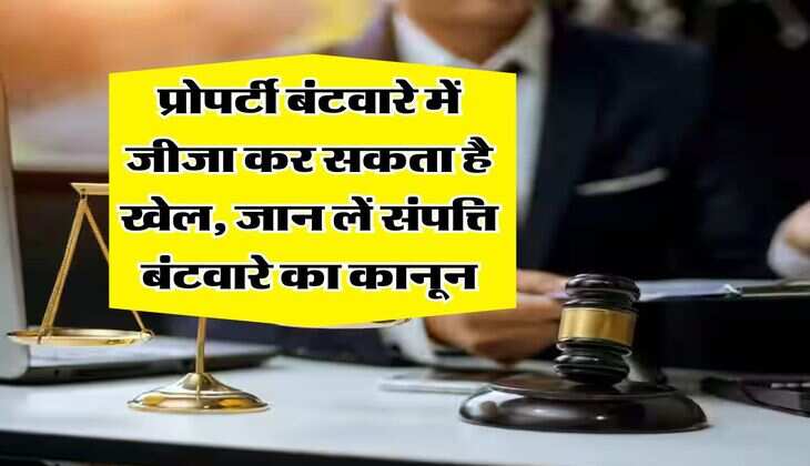Property Division Rules : प्रोपर्टी बंटवारे में जीजा कर सकता है खेल, जान लें संपत्ति बंटवारे का कानून