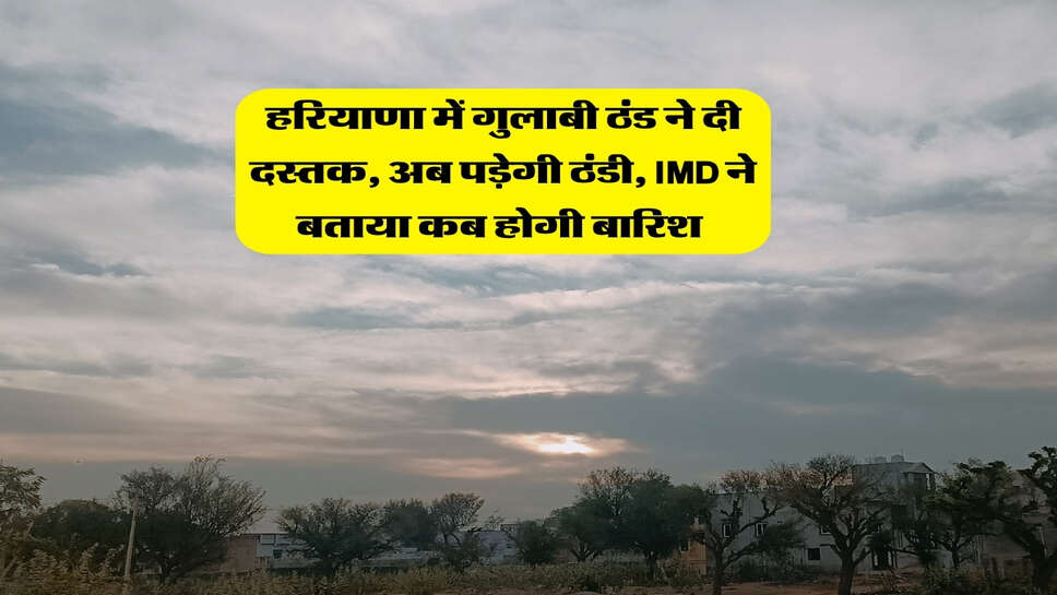 Haryana Ka Mausam : हरियाणा में गुलाबी ठंड ने दी दस्तक, अब पड़ेगी ठंडी, IMD ने बताया कब होगी बारिश&nbsp;
