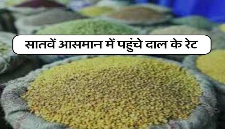 Pulses Rates Today : सातवें आसमान में पहुंचे दाल के रेट, लोग करने लगे स्टॉक, चेक कर लें आज के रेट