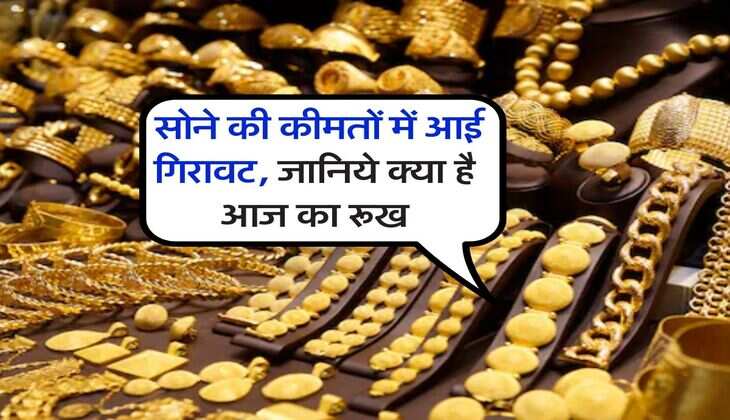 Gold Rate : सोने की कीमतों में आई गिरावट, जानिये क्या है आज का रूख