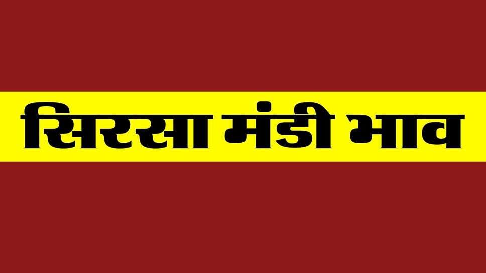 सिरसा मंडी भाव 26 अक्टूबर 2026 : देसी कपास और नरमा की कीमत में आई हल्की गिरावट