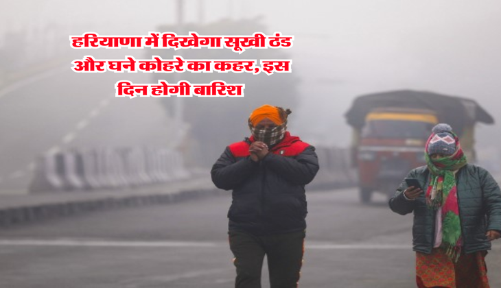 Haryana Weather : हरियाणा में दिखेगा सूखी ठंड और घने कोहरे का कहर, इस दिन होगी बारिश&nbsp;