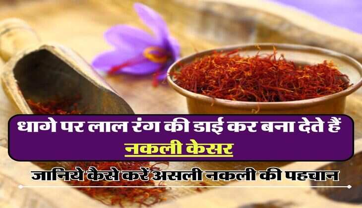 Asali or Nakli Kesar: &nbsp;धागे पर लाल रंग की डाई कर बना देते हैं नकली केसर, जानिये कैसे करें असली नकली की पहचान