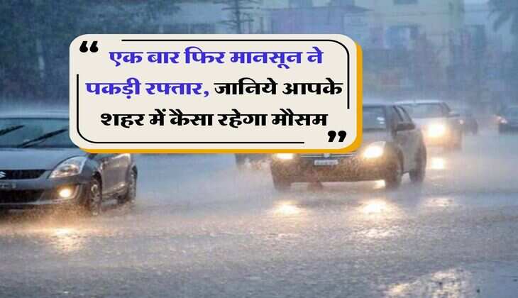Weather Update : एक बार फिर मानसून ने पकड़ी रफ्तार, जानिये आपके शहर में कैसा रहेगा मौसम