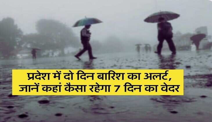 Haryana News : प्रदेश में दो दिन बारिश का अलर्ट, जानें कहां कैसा रहेगा 7 दिन का वेदर
