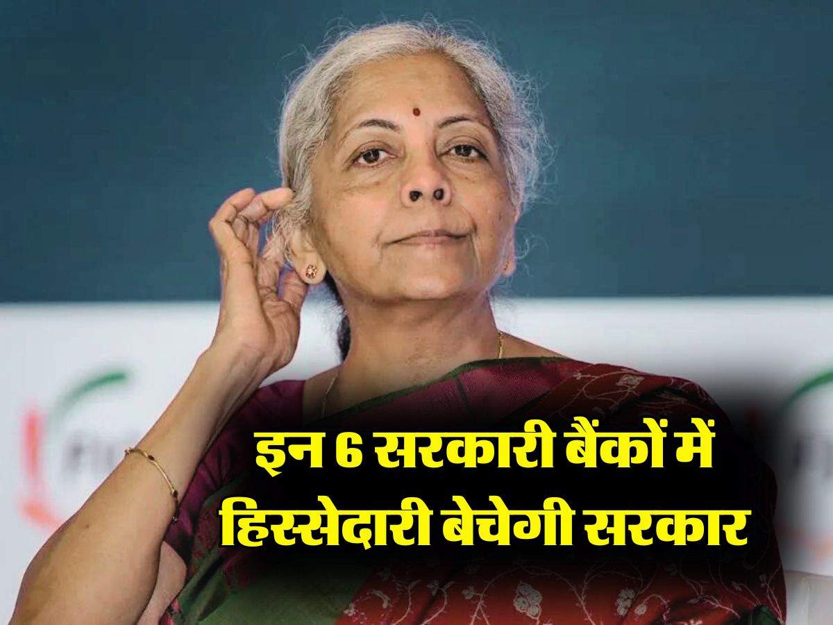 Bank Privatisation : इन 6 सरकारी बैंकों में हिस्सेदारी बेचेगी सरकार, जानिए बैंक खाताधारकों पर क्या होगा असर