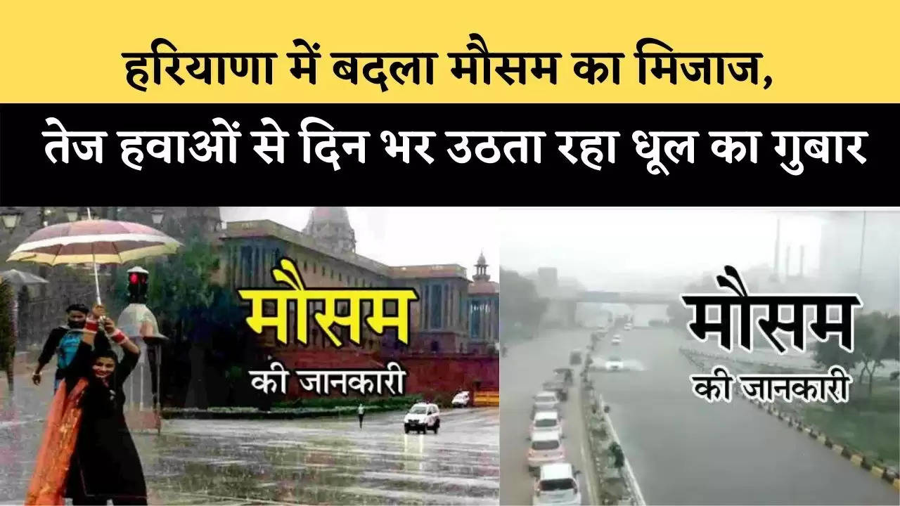 haryana weather update