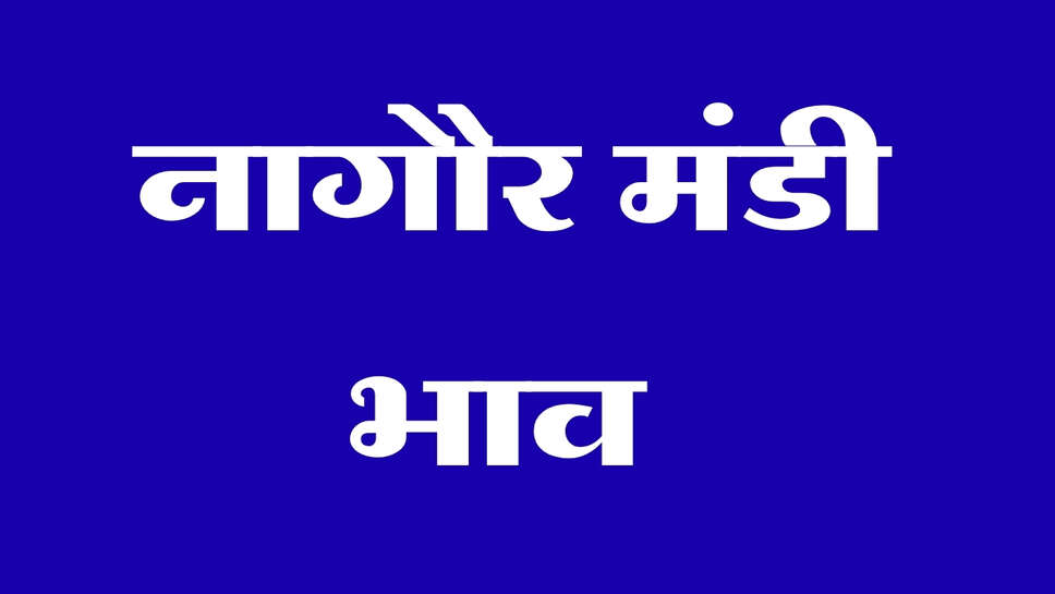 नागौर मंडी भाव 29 सितंबर 2026: जीरा, सौंफ और ईसबगोल में तेजी, मूंग और ग्वार के भाव में बदलाव
