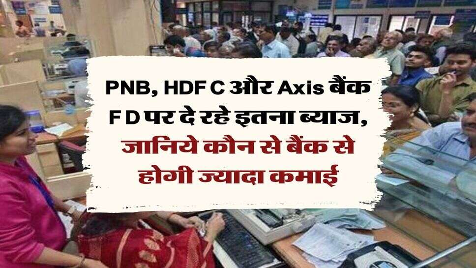 PNB, HDFC और Axis बैंक FD पर दे रहे इतना ब्याज, जानिये कौन से बैंक से होगी ज्यादा कमाई