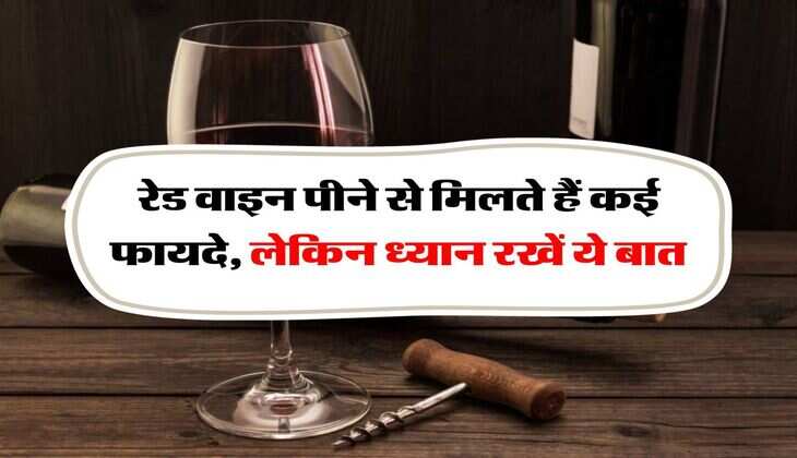 liqour : रेड वाइन पीने से मिलते हैं कई फायदे, लेकिन ध्यान रखें ये बात