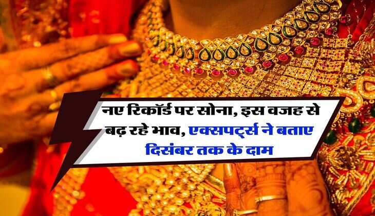 gold rate prediction 2025 : नए रिकॉर्ड पर सोना, इस वजह से बढ़ रहे भाव, एक्सपर्ट्स ने बताए दिसंबर तक के दाम