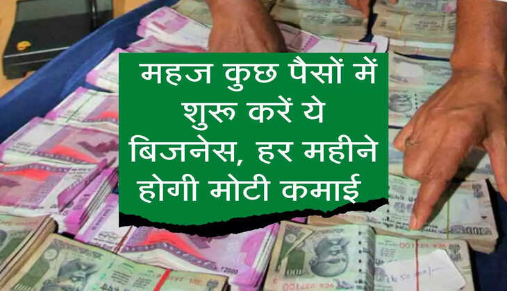 Business Ideas : महज कुछ पैसों में शुरू करें ये बिजनेस, हर महीने होगी मोटी कमाई 
