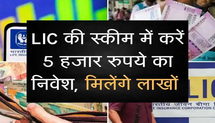 LIC की स्कीम में करें 5 हजार रुपये का निवेश, मिलेंगे लाखों 