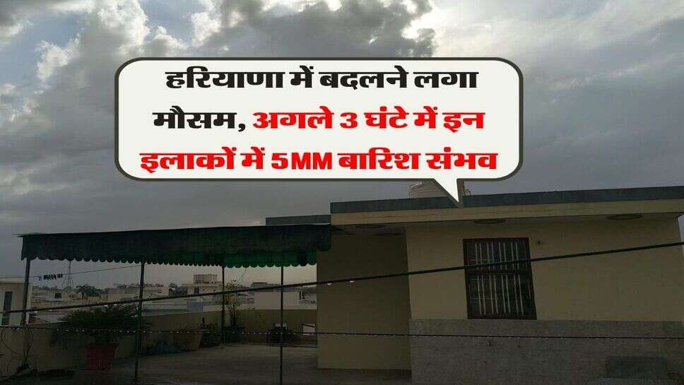 Haryana me barish :&nbsp;हरियाणा में बदलने लगा मौसम, अगले 3 घंटे में इन इलाकों में 5MM बारिश संभव