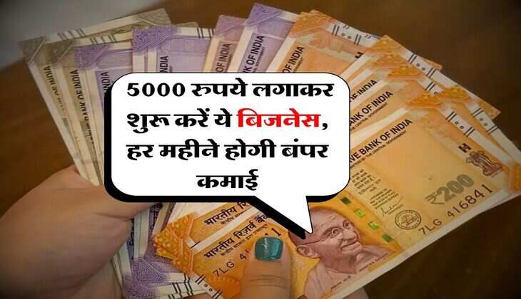 Business Idea : 5000 रुपये लगाकर शुरू करें ये बिजनेस, हर महीने होगी बंपर कमाई