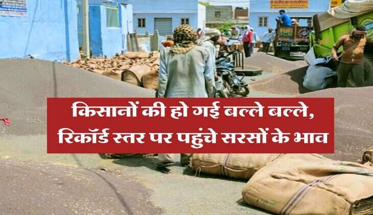 sarso ka bhav : किसानों की हो गई बल्ले बल्ले, रिकॉर्ड स्तर पर पहुंचे सरसों के भाव